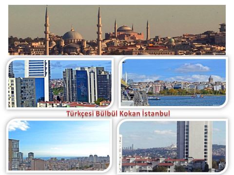 İstanbul'la İlgili Çok Özel Görüntüler İçeren Video Hakkında