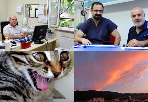 Hastane Ziyareti, Şımarık Kedi ve Bulutların Dansı
